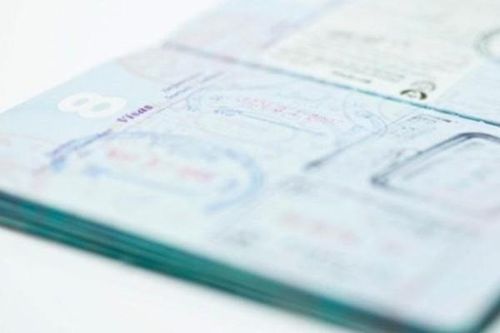 New Zealand ngăn nhập cảnh 47 du học sinh Việt Nam vì gian lận