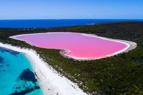 Dự án khôi phục màu hồng của Hồ Pink Lake ở Australia
