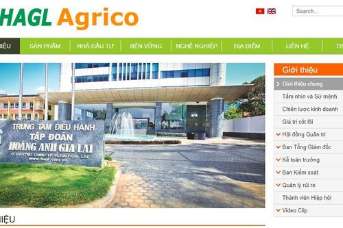 Sắp có một HAGL Agrico rất khác và chủ khác?