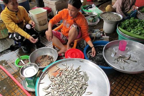 Giá cá đồng tăng cao