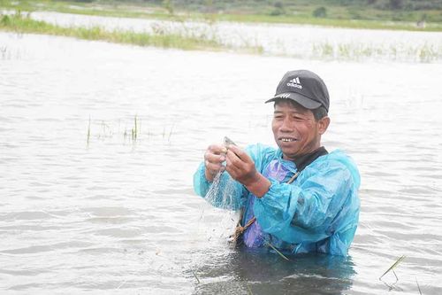 Mưu sinh 'mùa nước nổi' nơi phố Núi