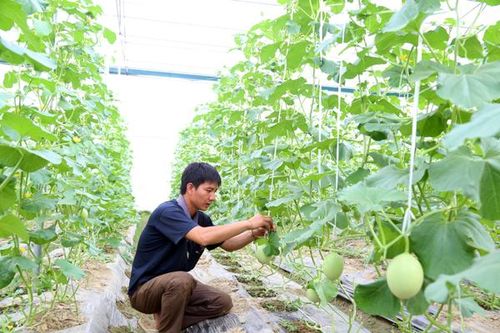 Diện mạo mới trên vùng cao Bát Xát