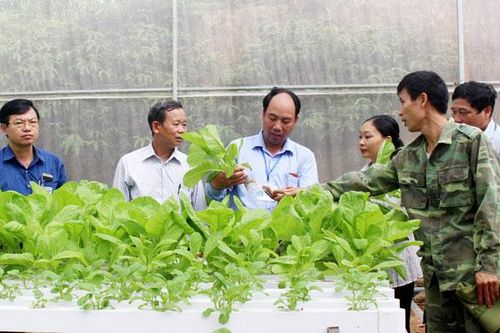 Thúc đẩy sản xuất nông nghiệp phát triển