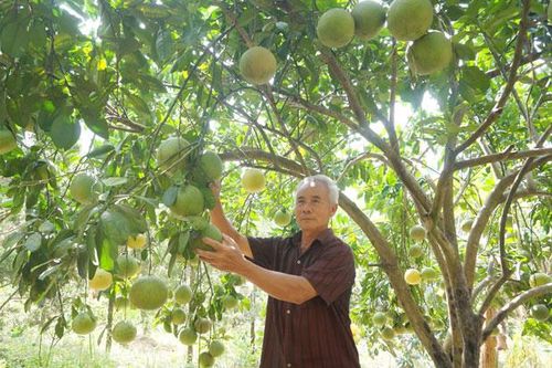Phát huy vai trò hạt nhân của người có uy tín trong cộng đồng