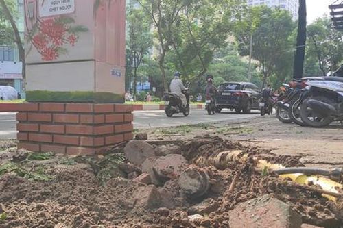 Kinh hoàng cây đổ gây chết người ở Hà Nội nhưng đáng sợ hơn đây không phải lần đầu tiên