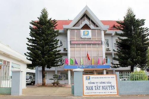 Petrolimex Nam Tây Nguyên: Trân trọng đạo lý 'uống nước nhớ nguồn'