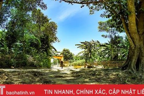Về vùng Núi Thơm Hà Tĩnh