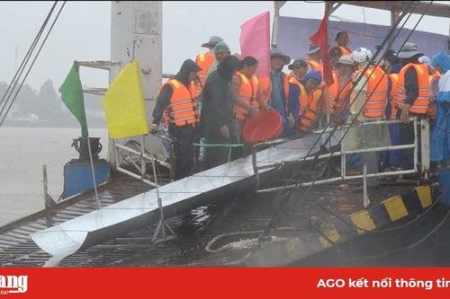 Thả hơn 14 tấn cá và 193 ngàn con cá giống về tự nhiên