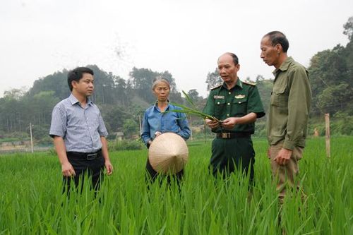 Thượng tá biên phòng 'làm dâu' đất lành
