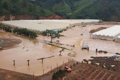 Tập trung ứng phó, khắc phục hậu quả mưa lũ do bảo số 3