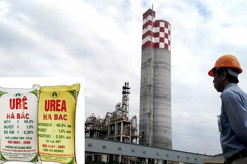 'Cánh chim đầu đàn' Đạm Hà Bắc lỗ lũy kế vượt vốn sở hữu