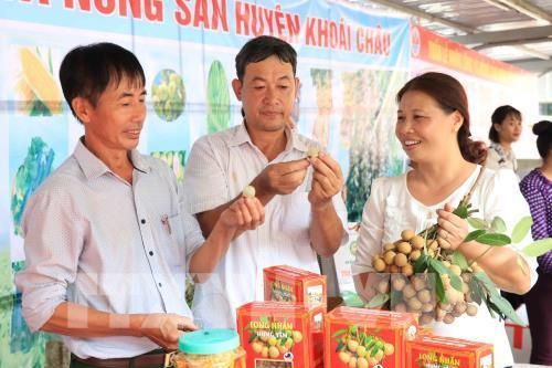 Giới thiệu nhãn Hưng Yên tại siêu thị Big C Thăng Long