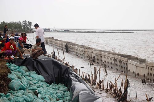 Thiên tai hoành hành Đồng bằng sông Cửu Long