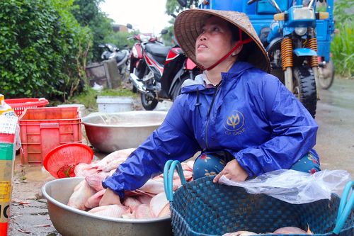 Hàng nghìn tấn cá bè chết do mưa lũ, người dân ngửa mặt kêu trời