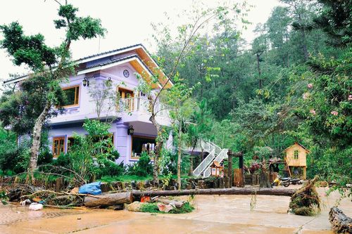Giới trẻ tiếc nuối điểm check-in nổi tiếng Đà Lạt tan hoang sau lũ
