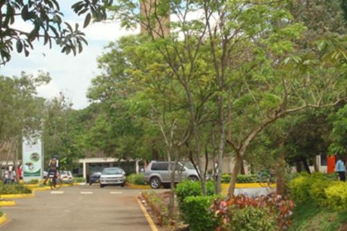 Kenya: Lạm phát tiến sĩ