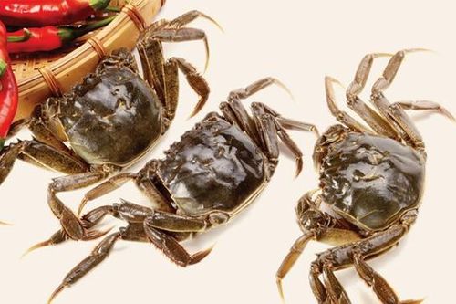 Dùng cua đồng theo cách này chữa bệnh xương khớp tốt 'gấp tỷ lần' thuốc tây
