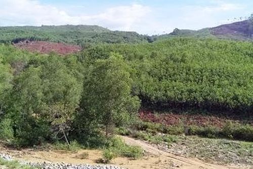 Đối thoại với người dân về lò đốt rác thải sinh hoạt Đại Nghĩa