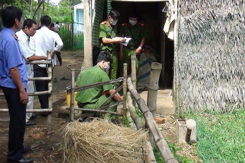 Bắt 2 thiếu niên khống chế bà lão 78 tuổi để cướp tài sản
