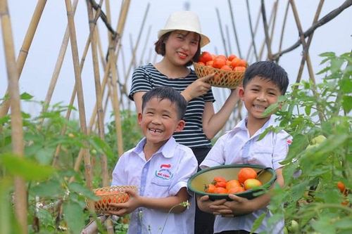 Triển vọng mới từ nông trại chia sẻ