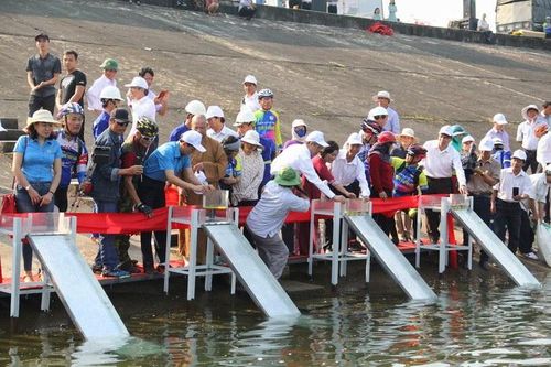 Quảng Nam bàn giải pháp phát triển kinh tế lòng hồ thủy điện