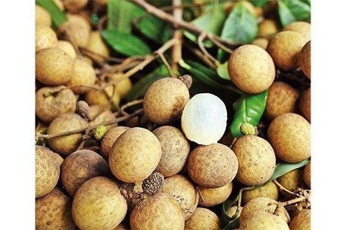 Tuần lễ nhãn lồng và nông sản Hưng Yên