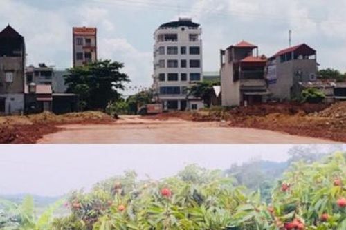 Lục Ngạn (Bắc Giang): Cần có cái nhìn xuyên suốt trong quá trình chỉnh trang đô thị.