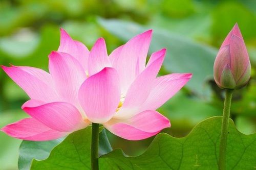 Lời Phật dạy về cách tích đức trong cuộc sống
