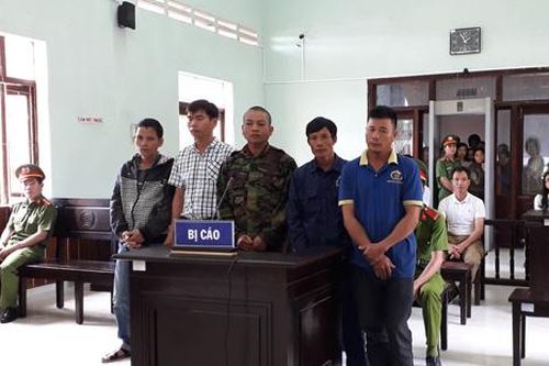 Kon Tum: Tuyên án các đối tượng trong vụ 'trộm cây gỗ trắc'