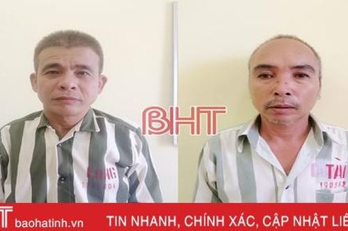 Cú lừa 'ngoạn mục': 8 mật lợn khô giá... 190 triệu đồng!