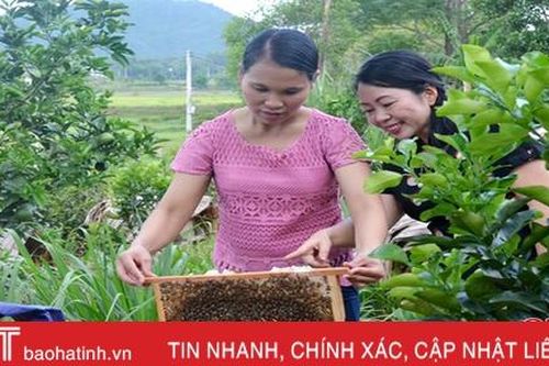 Về Vũ Quang, đến đâu cũng gặp vườn mẫu của cán bộ hội phụ nữ
