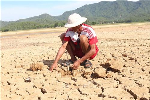 Tăng cường dự báo, cảnh báo sớm hạn hán, xâm nhập mặn