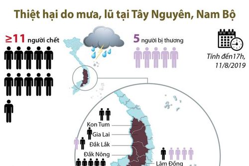 Thiệt hại nghiêm trọng do mưa, lũ tại Tây Nguyên, Nam Bộ