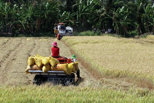 Phổ biến chính sách về bảo hiểm nông nghiệp