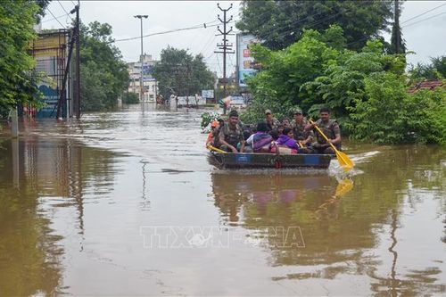 Ít nhất 180 người thiệt mạng do mưa lũ ở Ấn Độ