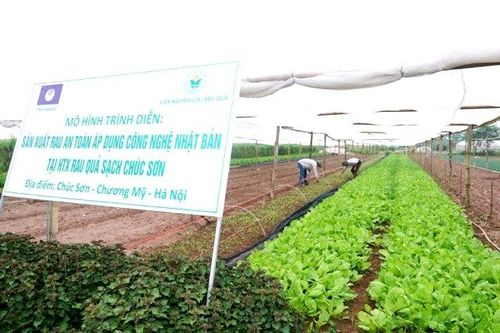 Hà Nội: Tập trung phát triển Kinh tế tập thể, HTX giai đoạn 2020 – 2021