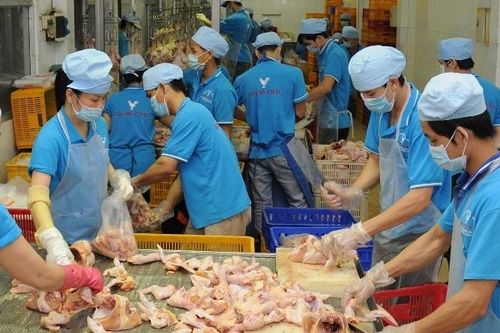 Doanh nghiệp chủ động phòng chống thực phẩm bẩn: Đảm bảo nguồn cung