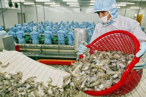 Xuất khẩu thủy sản sang Trung Quốc đang phục hồi