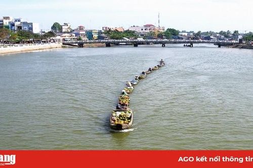 Đua xuồng giữa... phố thị