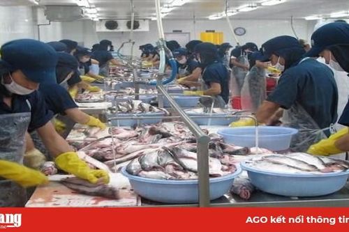 Standard Chartered: Kinh tế Việt Nam tăng trưởng mạnh nhất ASEAN