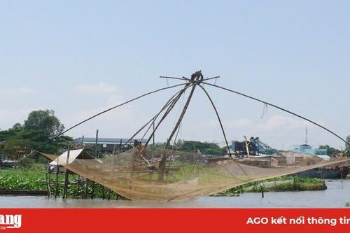 Phạt nặng hành vi khai thác thủy sản bằng ngư cụ cấm