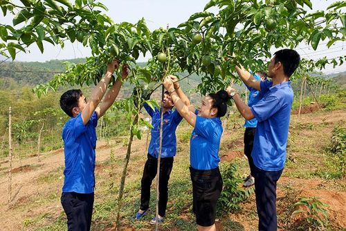 Rèn luyện để vừa 'hồng' vừa 'chuyên'