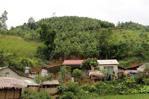 Nông dân 'còng lưng' nuôi… doanh nghiệp