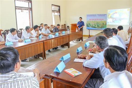 Đào tạo tiểu giáo viên về cây lúa