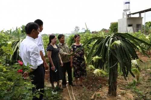 Đồng vốn mát lành…