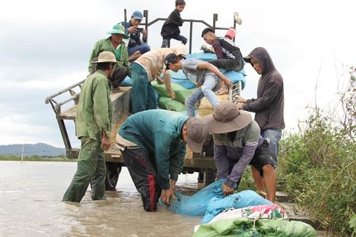 Nước tràn qua đê bao, hàng trăm người dân căng mình cứu lúa