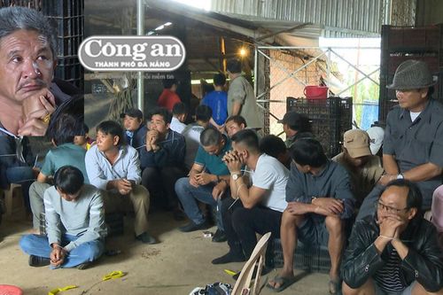 Phá sới gà giữa ban ngày
