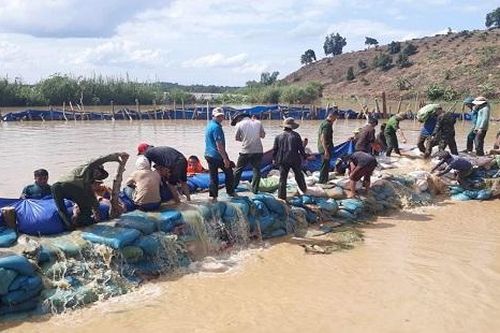 Đắk Lắk: Đã ngăn được nước tràn vào cánh đồng lúa hàng trăm hecta