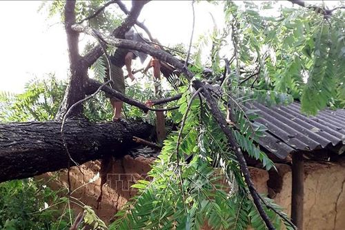 Lào Cai: Mưa đá bất thường tại huyện Si Ma Cai làm nhiều nhà bị sập, tốc mái