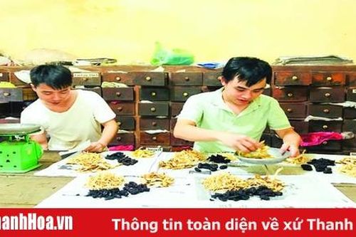 Phát triển thế mạnh khám chữa bệnh bằng y học cổ truyền